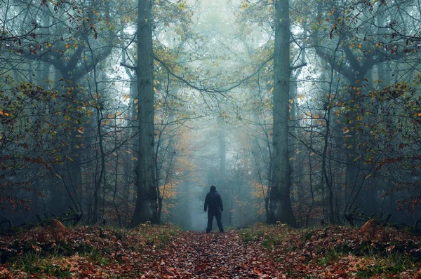 一个怪异的孤独的头罩人物站在雾森林在冬天与黑暗的静音编辑 — 图库照片