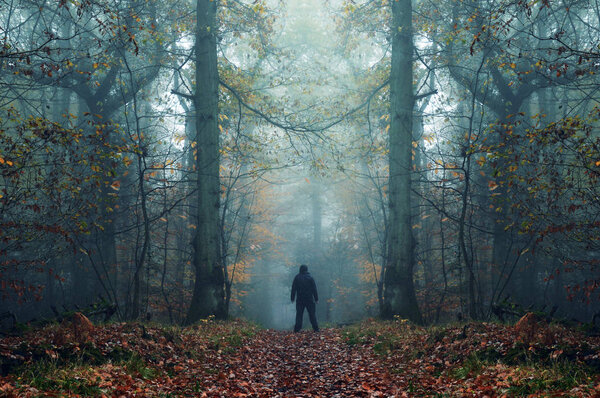 A spooky lone hooded figure standing in a foggy forest in winter with a dark muted edit.