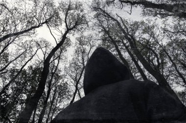 Gökyüzüne ve yukarıdaki ağaçlara bakan ürkütücü kapüşonlu bir figür. Bir grunge ile, vintage edit.