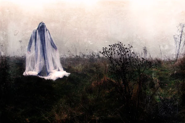 Μια Τρομακτική Φιγούρα Που Στέκεται Στην Ύπαιθρο Μια Μέρα Ομίχλη — Φωτογραφία Αρχείου