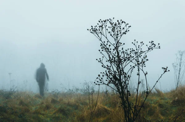 Eine Gespenstische Gespenstische Verschwommene Kapuzenfigur Die Einem Nebligen Wintertag Auf — Stockfoto