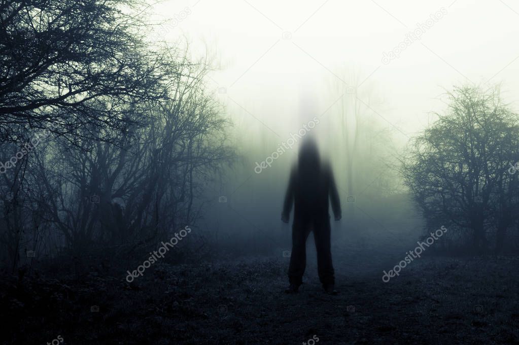 A spooky, blurred, ghostly hooded figure standing on a path on a foggy winters day. With a muted, old edit.