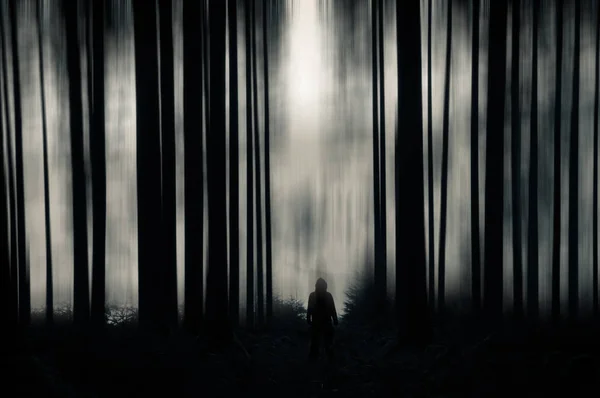 A spooky, blurred, ghostly hooded figure standing in a blurred forest. With a blurred muted edit.
