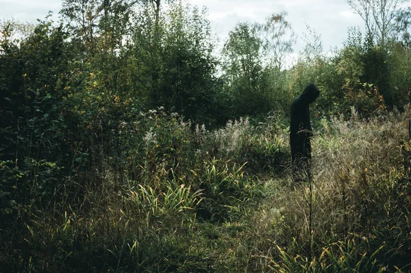Karanlık, ürkütücü kapüşonlu bir figür, ormanlık alanda, sessiz bir düzenlemesi ile ayakta — Stok fotoğraf