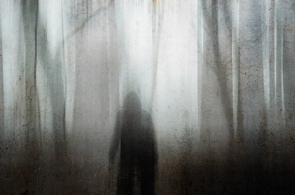在雾蒙蒙的冬天 一个头戴头巾的身影望向一片幽灵森林 具有颗粒状静音模糊抽象编辑 — 图库照片