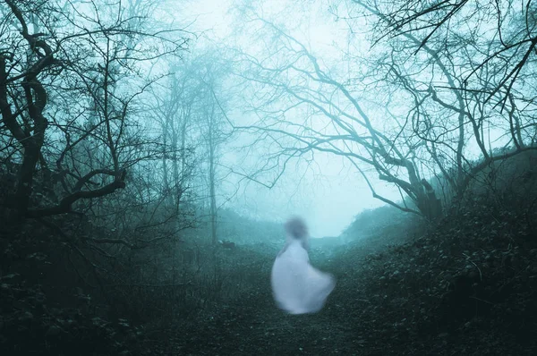 Bosque Oscuro Espeluznante Con Útero Fantasmal Vestido Blanco Frío Día —  Fotos de Stock