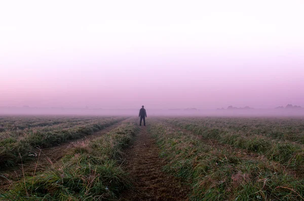 A mysterious lone figure standing in a field on a beautiful early misty morning.