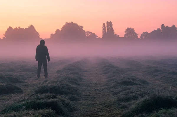 Eine geheimnisvolle Gestalt mit Kapuze, die an einem schönen frühen nebligen Morgen auf einem Feld steht und den Sonnenaufgang betrachtet. — Stockfoto