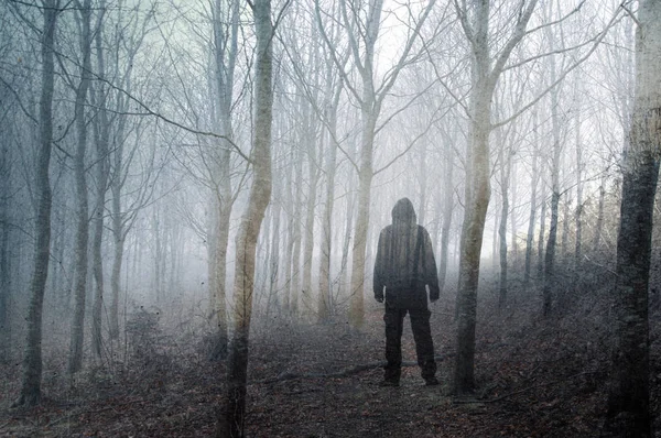 Sisli Kışgünlerinde Ürkütücü Bir Ormanda Duran Kapüşonlu Bir Adamın Sanatsal — Stok fotoğraf