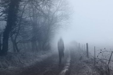 A ghostly woman walking along a country path on a spooky misty winters day. With a cold, blue edit. clipart
