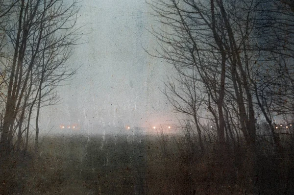 Spoglądając Mgliste Pole Nocy Otoczone Drzewami Zimowymi Światłami Horyzoncie Grunge — Zdjęcie stockowe