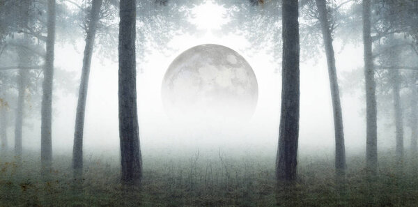 An artistic double exposure. Looking out across a misty field, framed by winter trees. Wih the moon rising in the background. With a grunge, blurred, weathered edit
