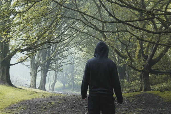 Looking at the back of a hooded figure, standing below an avenue of trees — Stock Photo, Image