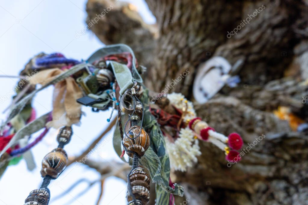 Offerings on an ancient pagan oak tree in the English countryside. Malvern Hills, UK