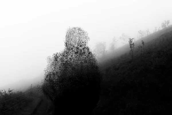 Ένας Άντρας Σιλουέτα Ένα Λόφο Μια Ομιχλώδη Μέρα Αποσυντίθεται Ασπρόμαυρη — Φωτογραφία Αρχείου