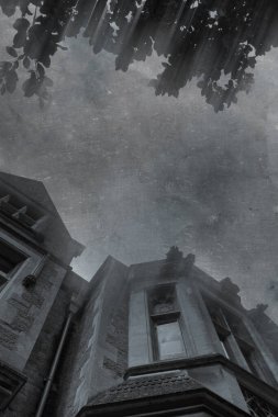 Viktorya döneminden kalma heybetli bir binanın camlarına bakıyorum. Bir grunge, vintage düzenleme ile