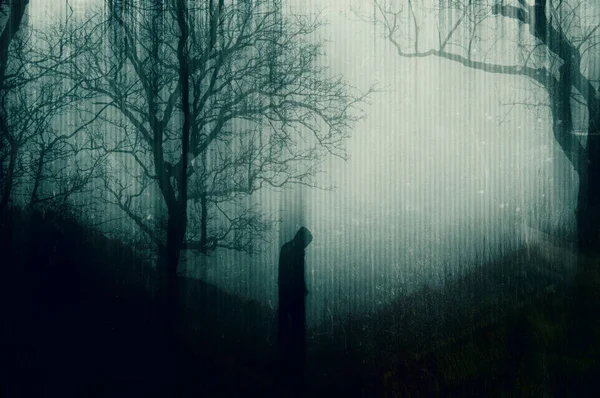 Egy Kísérteties Kapucnis Alak Áll Erdőben Egy Elmosódott Hibás Absztrakt — Stock Fotó