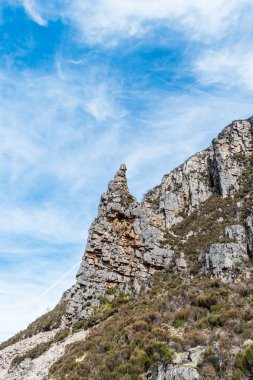 Ağlama dul North Coast 500 Lairg, İskoçya. Dikey. bir bahar gününde 