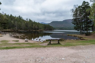 Loch Aviemore manzara resimlerini rahatlatıcı bir sahneyi ya da saf hava bahar döneminde yürüyüş yakınındaki bir Eilein 