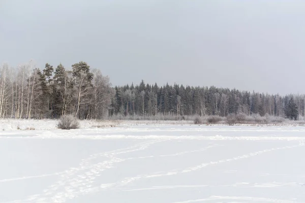 Estrada Inverno Para Floresta — Fotografia de Stock