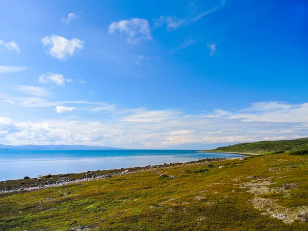 Beauté Été Nordique Dans Toundra — Photo