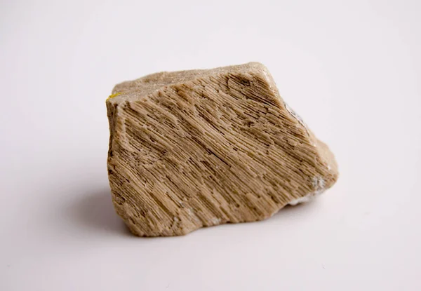 Az erdei mészkő (mészkőből)-organogén üledékes kőzet természetes mintája — Stock Fotó