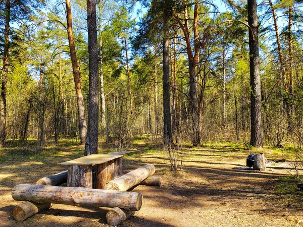 Mesa de madera en el bosque en primavera —  Fotos de Stock