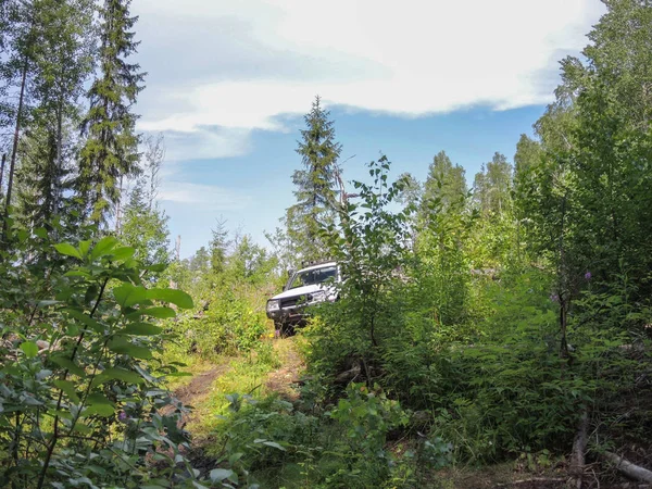 Aventura offroad en Toyota en los bosques de Karelia — Foto de Stock
