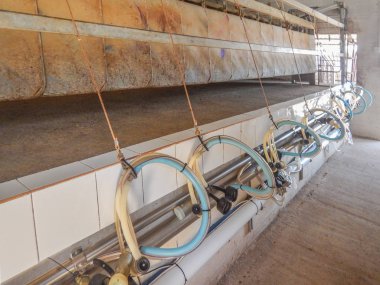 Küçük bir çiftlikte otomatik sağım kümesinin kapatılması