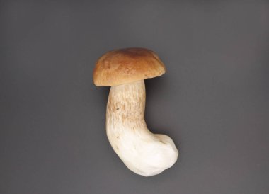 Boletus edulis kral bolete siyah arka plan üzerinde izole. Yakın çekim.