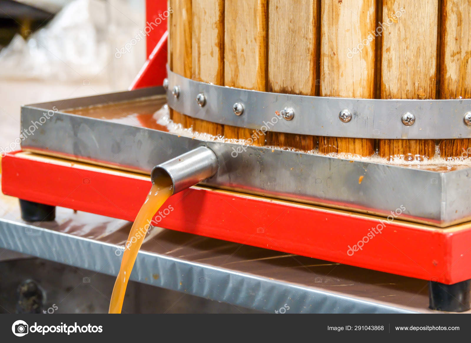 Pressing apple juice with a small apple press, before making cider with