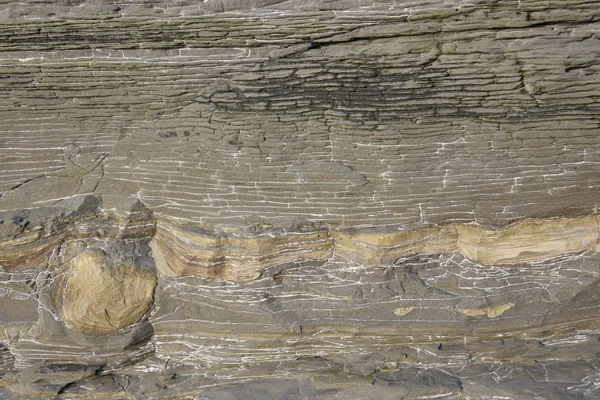 Каменная поверхность. Фон из натурального серого камня — стоковое фото