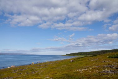 Sredniy Yarımadası, Murmansk Bölgesi, Yosun attı sörf, Arktik Okyanusu kıyısı, Sredniy yarımadası