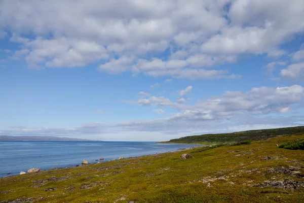 PÉNINSULE DE SREDNIY, RÉGION DE MURMANSK, Surf lancé par les algues, rivage de l'océan Arctique, péninsule de Sredniy — Photo