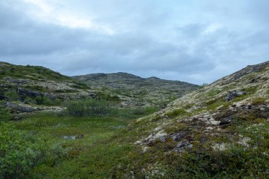 Murmansk, Algler Arktik Okyanusu kıyısında, Sredniy yarımadasında sörf yaptı.