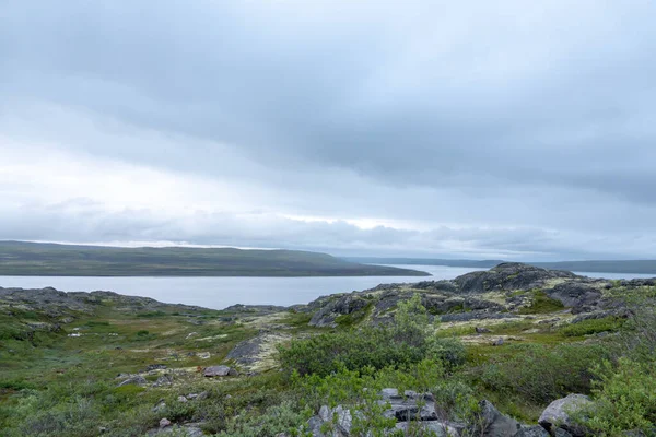 ムルマンスク、藻が波を投げ、北極海の岸、スレドニー半島 — ストック写真