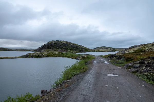 Murmansk, Algler Arktik Okyanusu kıyısında, Sredniy yarımadasında sörf yaptı. — Stok fotoğraf