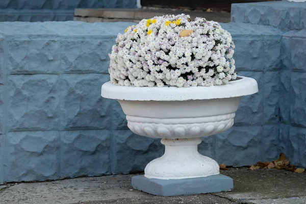 Decorative stone vase with flowers on a granite staircase close-up outdoors.