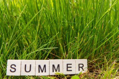 Resim Yazı, ahşap alfabe Haziran yeşil çimen arkaplan metin için fotokopi alanı ile. Takvim, ay ve arkaplan için kullanılacak kavram.