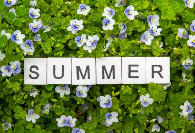 Resim Yazı, ahşap alfabe Haziran yeşil çimen arkaplan metin için fotokopi alanı ile. Takvim, ay ve arkaplan için kullanılacak kavram.