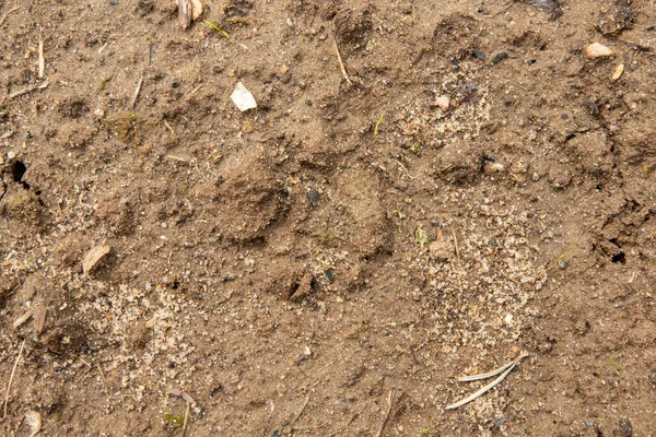 Çamur dokusu. Tarım, doğa dergileri, oyun geliştirme ve tasarım için kırmızı toprak görüntüsü.