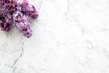 Bahar çiçekleri. Beyaz taş arka planda leylak çiçekleri. Üst manzara, düz uzanma