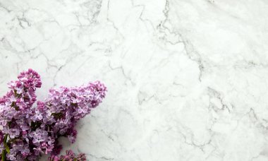 Bahar çiçekleri. Beyaz taş arka planda leylak çiçekleri. Üst manzara, düz uzanma