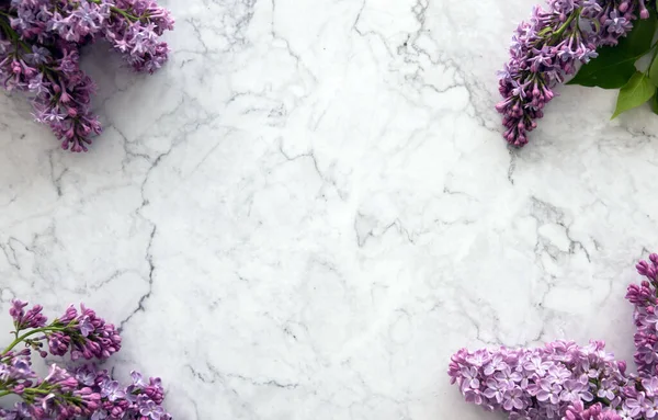 Bahar çiçekleri. Beyaz taş arka planda leylak çiçekleri. Üst manzara, düz uzanma