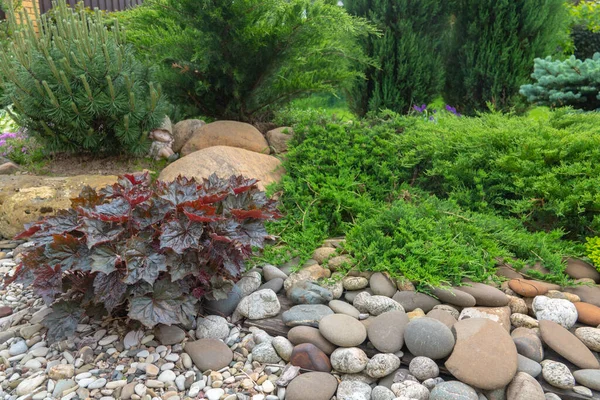 Alp kaydırak bitkileri ve taşlar bileşimi