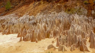 Madagaskar, Afrika 'da Kırmızı Tsingy. Madagaskar 'ın kuzeyindeki Diana bölgesindeki Irodo Nehri' nin aşınmasıyla oluşan kırmızı yanaklı taş oluşumu..