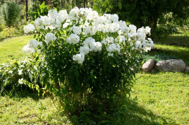 Üç boyutlu katı figürlere sahip renkli soyut geometrik arkaplan. Renkli kağıda düzenlenmiş iki yüzlü piramit prizması dikdörtgen küp.