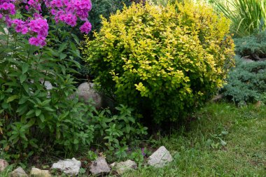 Üç boyutlu katı figürlere sahip renkli soyut geometrik arkaplan. Renkli kağıda düzenlenmiş iki yüzlü piramit prizması dikdörtgen küp.