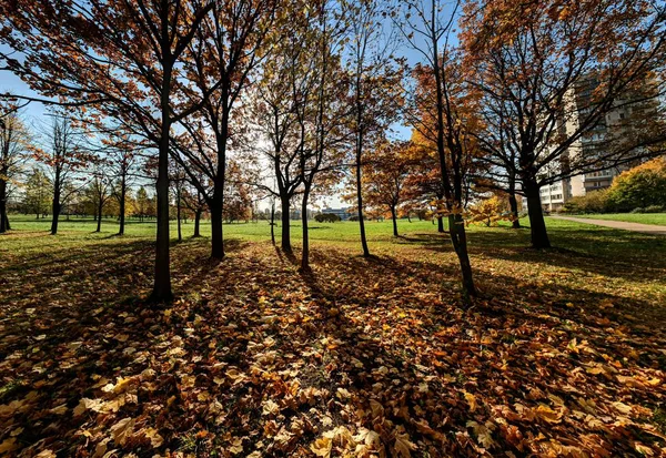 Herbst Park — Stockfoto