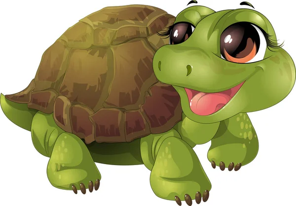 Bella tartaruga carina — Vettoriale Stock